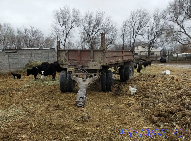 Kamaz dump truck Abay - photo 4