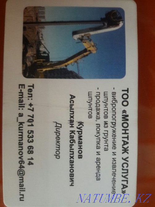 Вибраторлар  Астана - изображение 3