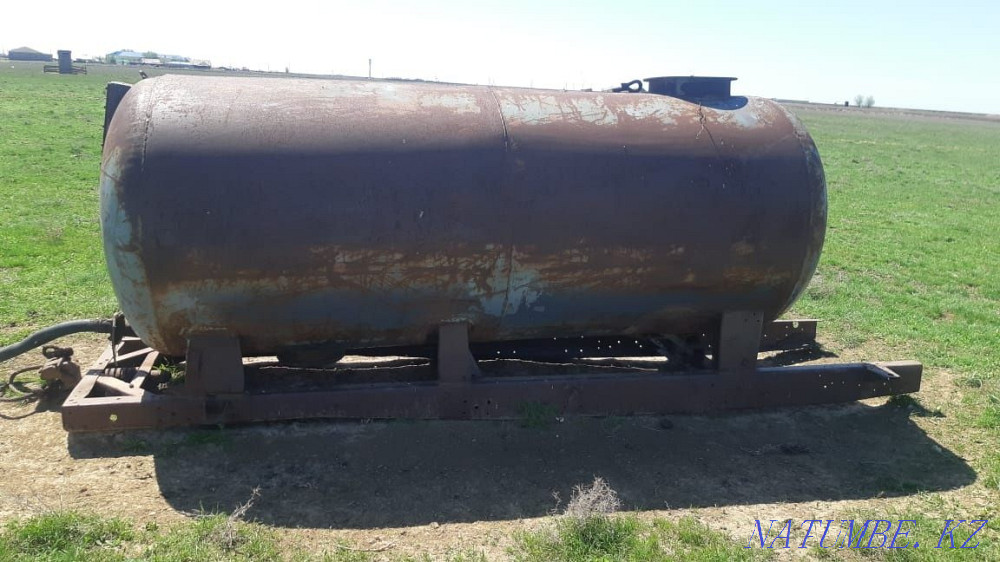 Продажа Большой чаган - изображение 4