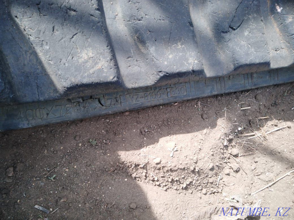 caterpillar track Rudnyy - photo 3