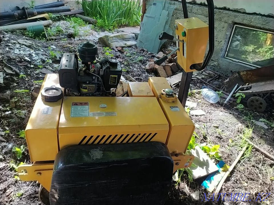 Rink for sale in excellent condition  - photo 2