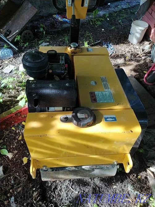 Rink for sale in excellent condition  - photo 3