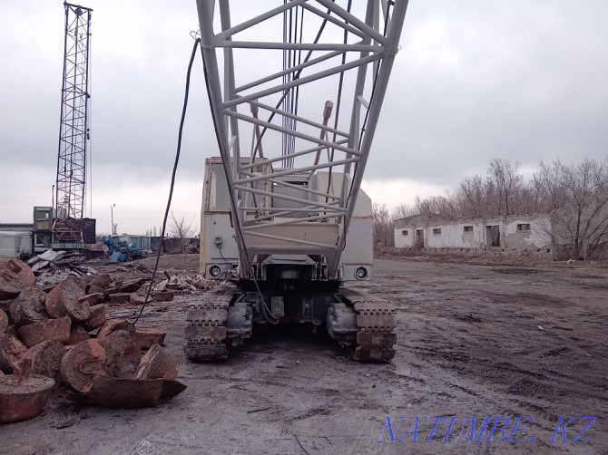 Crane RDK 250/2 Pavlodar - photo 2