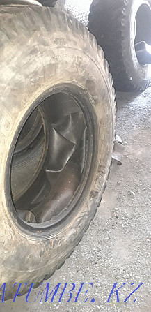 tires for loader Shchuchinsk - photo 4