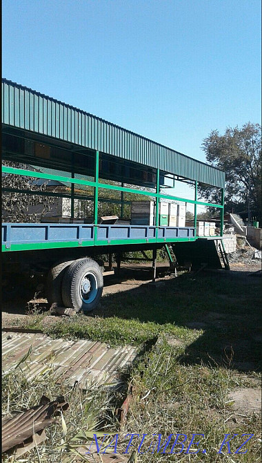 Beepovelion, bees. Almaty Almaty - photo 5