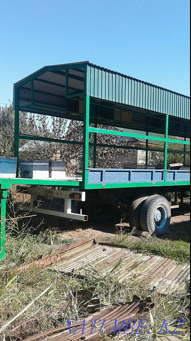 Beepovelion, bees. Almaty Almaty - photo 3