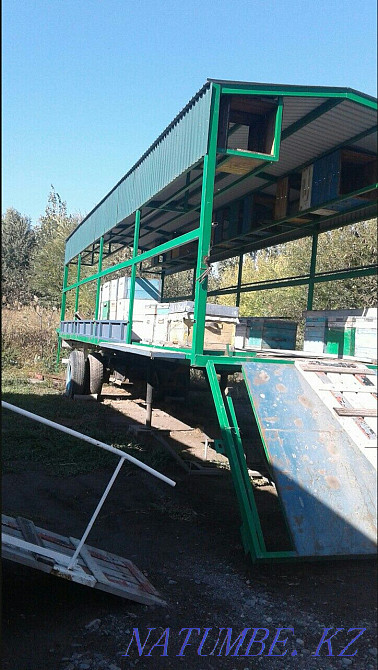 Beepovelion, bees. Almaty Almaty - photo 2