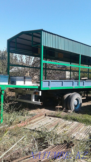 Beepovelion, bees. Almaty Almaty - photo 4