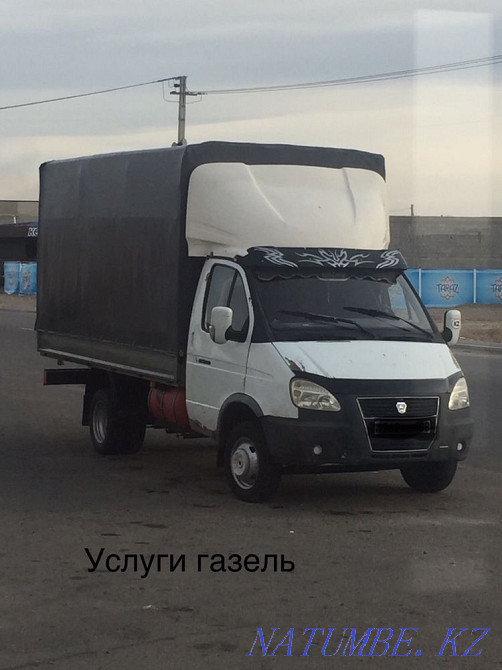 қарақұйрық қарақұйрық  Тараз  - изображение 2