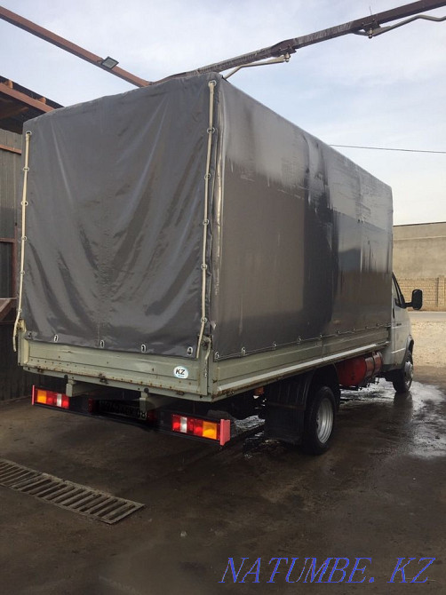 қарақұйрық қарақұйрық  Тараз  - изображение 4