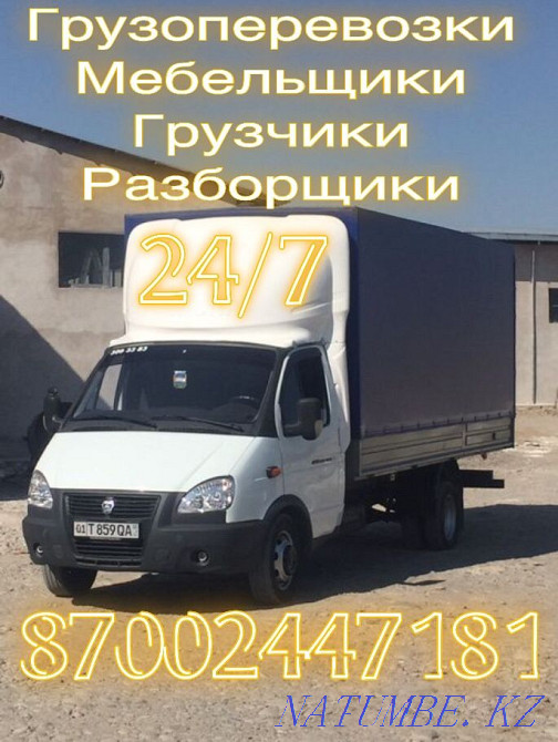 қарақұйрық қарақұйрық  Тараз  - изображение 1