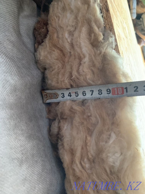 Construction car trailer Ust-Kamenogorsk - photo 4