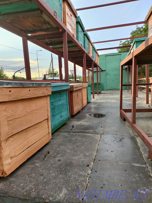 Продам пчело прицеп. Талдыкорган - изображение 3