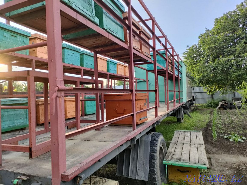 Продам пчело прицеп. Талдыкорган - изображение 2