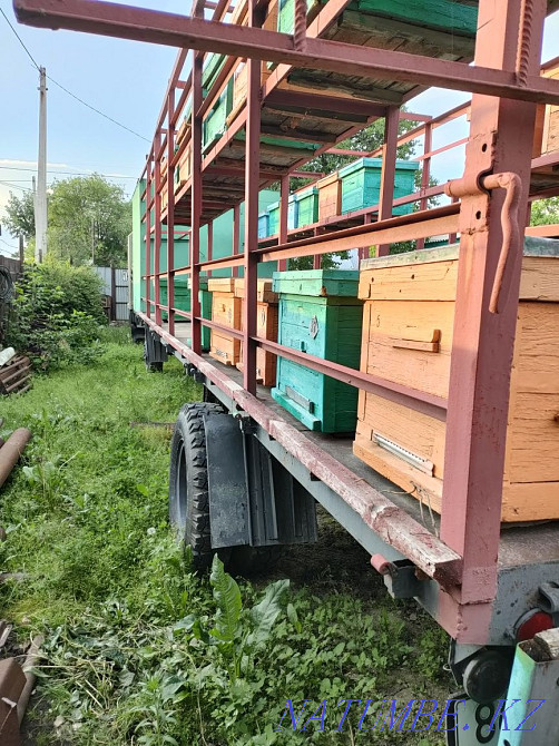 Продам пчело прицеп. Талдыкорган - изображение 4