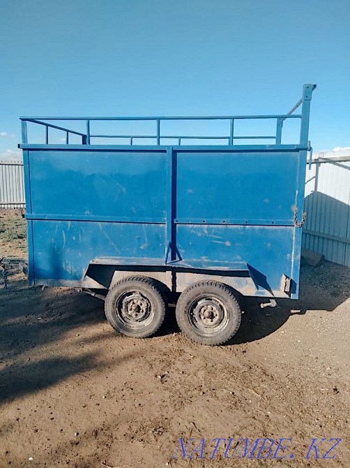 ат арбасы  Павлодар  - изображение 2