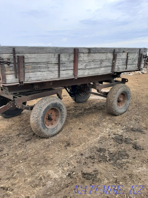 I will sell the cart PTS-4 Petropavlovsk - photo 2