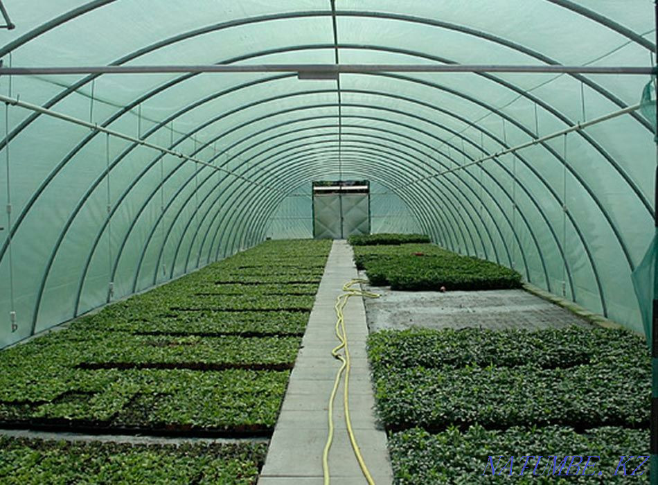 Тор.Ормандарды паналауға арналған тор.Көлеңкелік тор.Қасбеттік тор.  Атырау - изображение 5