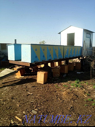 beekeeping trailer Kostanay - photo 1