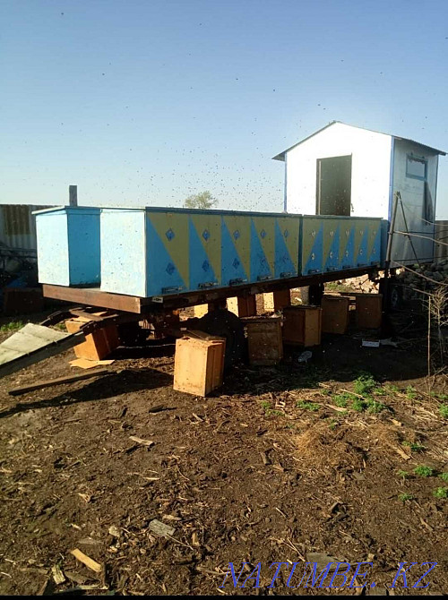 ара өсіруге арналған трейлер  Қостанай  - изображение 1