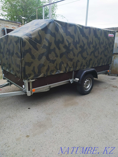 тандем для снегоходов и пчел Костанай - изображение 8