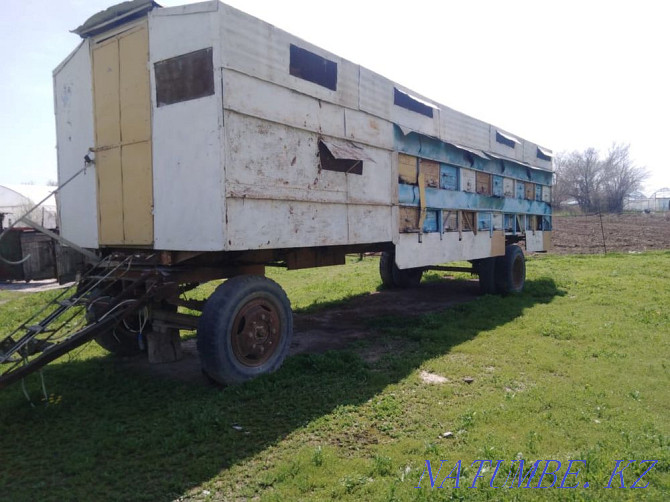 Bee Trailer Shymkent - photo 3