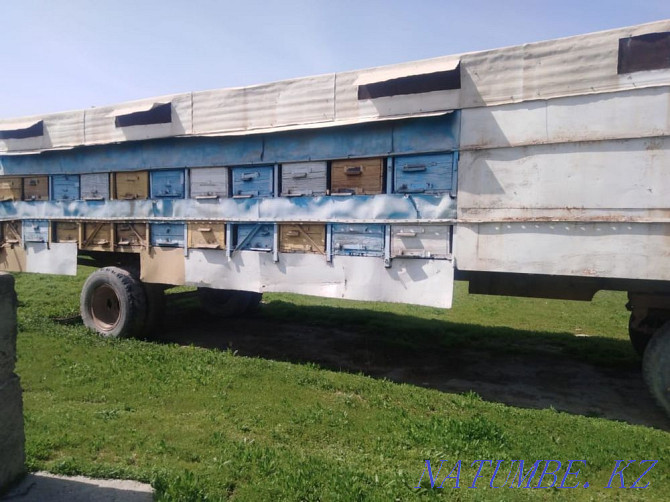 Bee Trailer Shymkent - photo 1