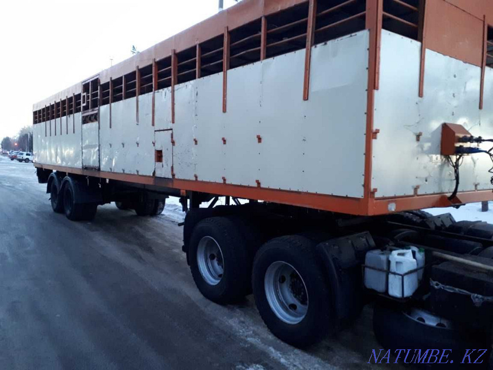 Скотовоз полуприцеп Шымкент - изображение 1
