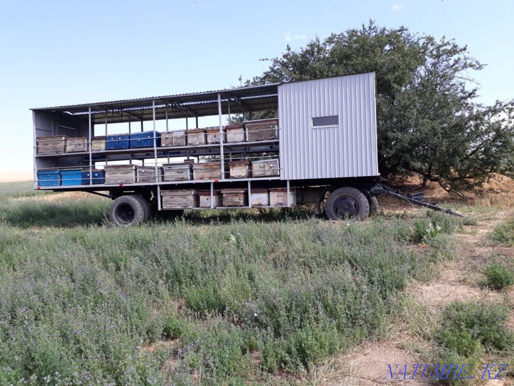 Дайын бизнес. 70 бал арасы жан?ясын ж?не ЗИЛ базасында прицеп сатамын. Шымкент - изображение 1