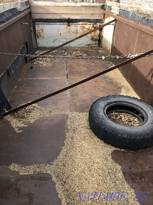 Trailer Kamaz  - photo 5