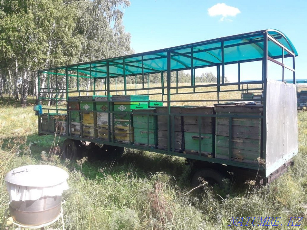 Прицеп для любых нужд Петропавловск - изображение 2