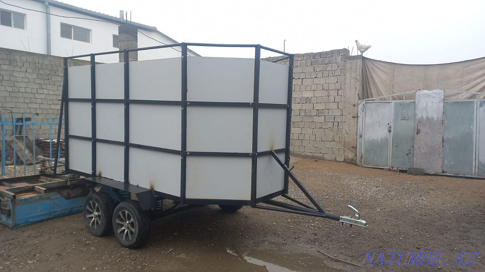 Коневозка срочно  - изображение 5