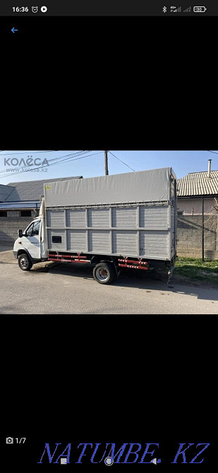 Board for a gazelle.  - photo 6