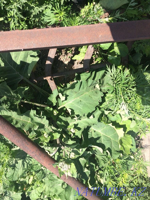 Selling a great plow Shchuchinsk - photo 6