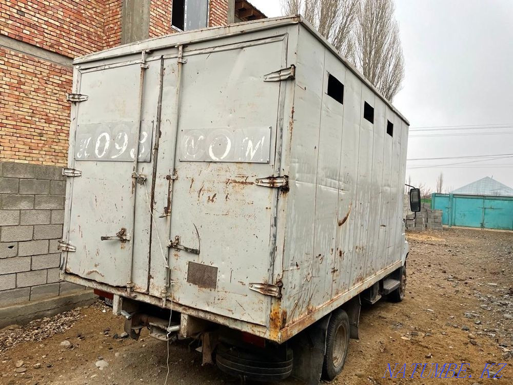 Газель Газель  - изображение 2