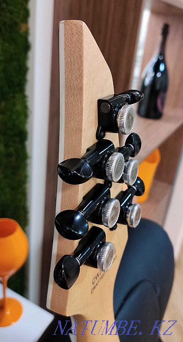 Guitar Jackson Monarch SC Almaty - photo 4