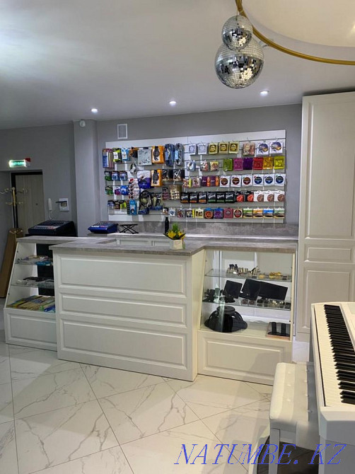 Электрогитара Актобе - изображение 8