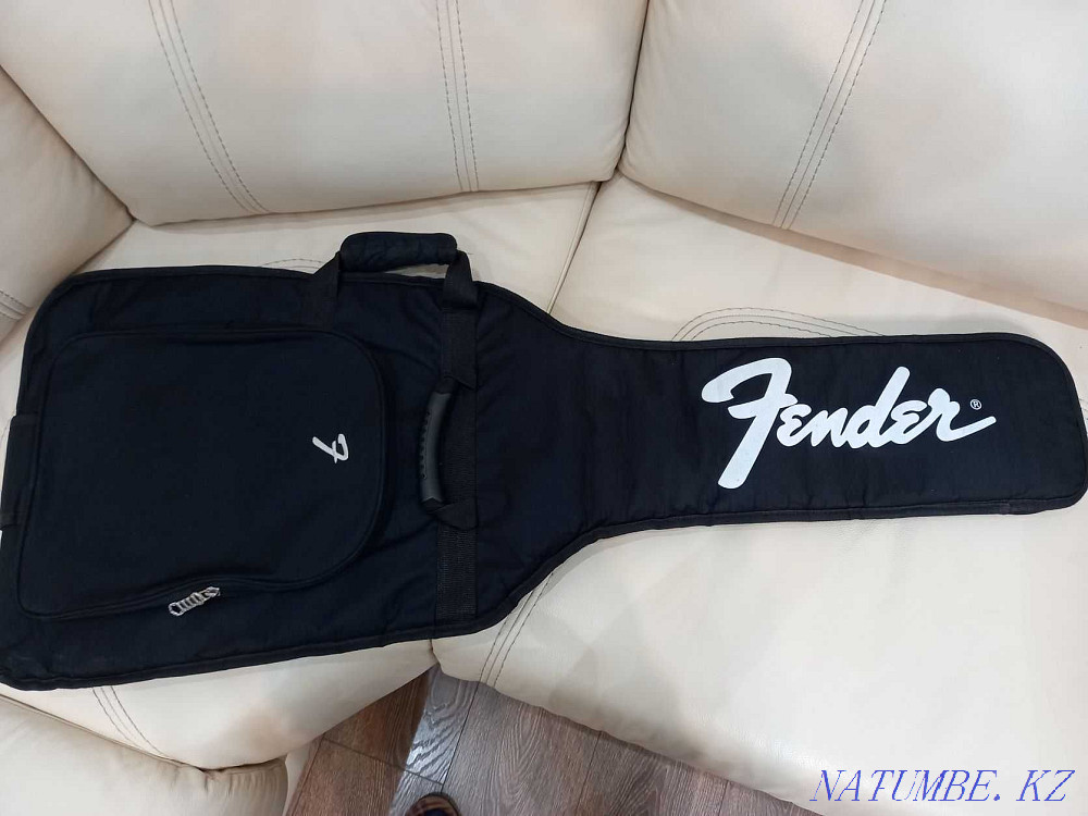 Электрогитарные аксессуары Астана - изображение 1