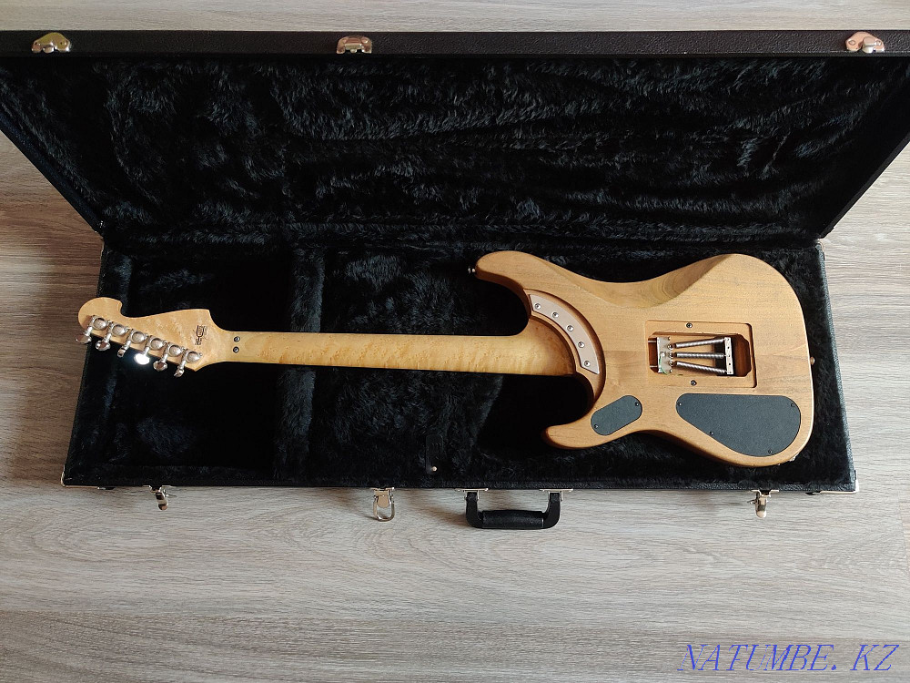 Washburn N4 Nuno Vintage  - photo 3