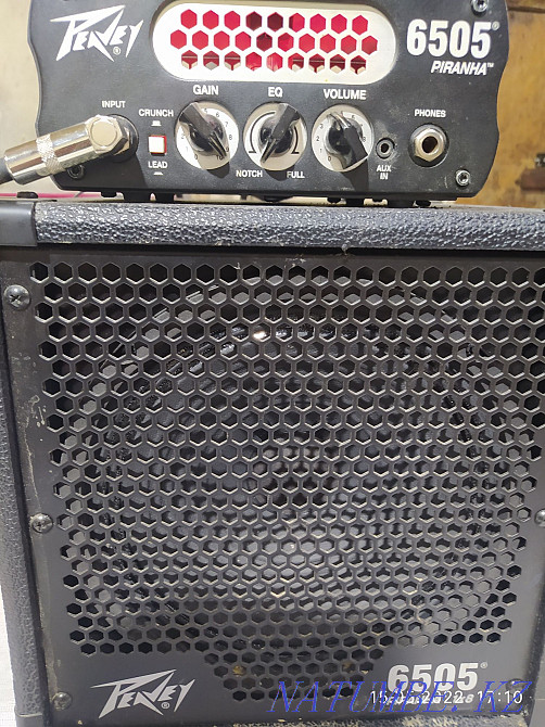 Комплект Harley Benton & Peavey  - изображение 6