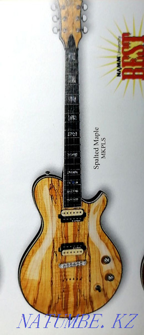 Электро гитара Michael Kelly корея Павлодар - изображение 1