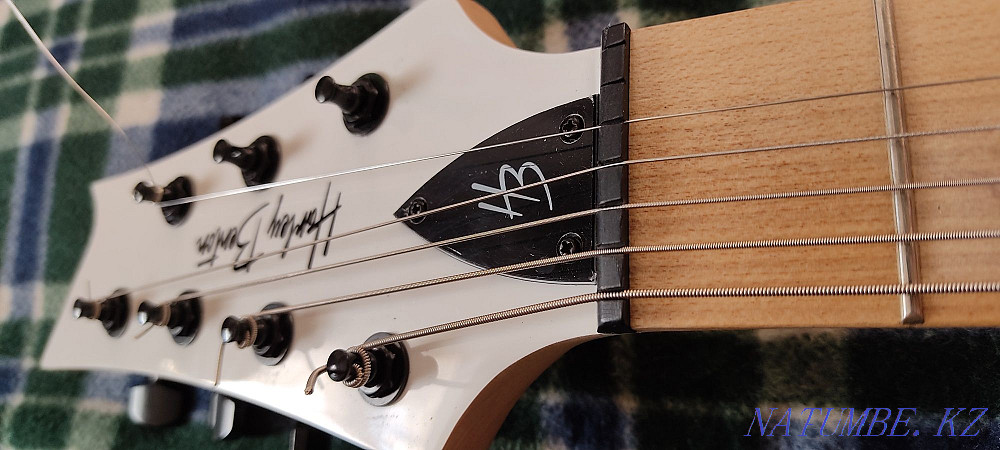 Seven-string electric guitar Kostanay - photo 4