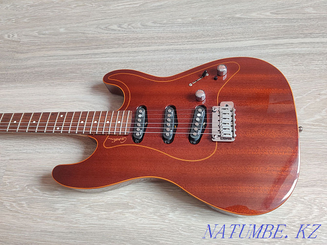 Godin RG-3 Passion Series  - photo 1