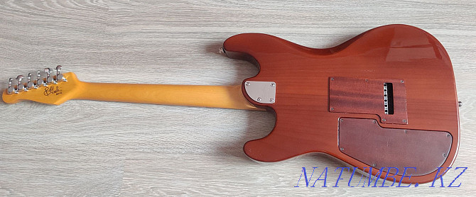 Godin RG-3 Passion Series  - photo 3