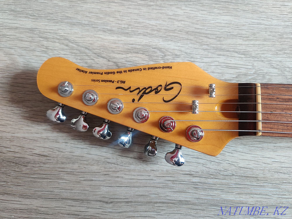 Godin RG-3 Passion Series  - photo 4