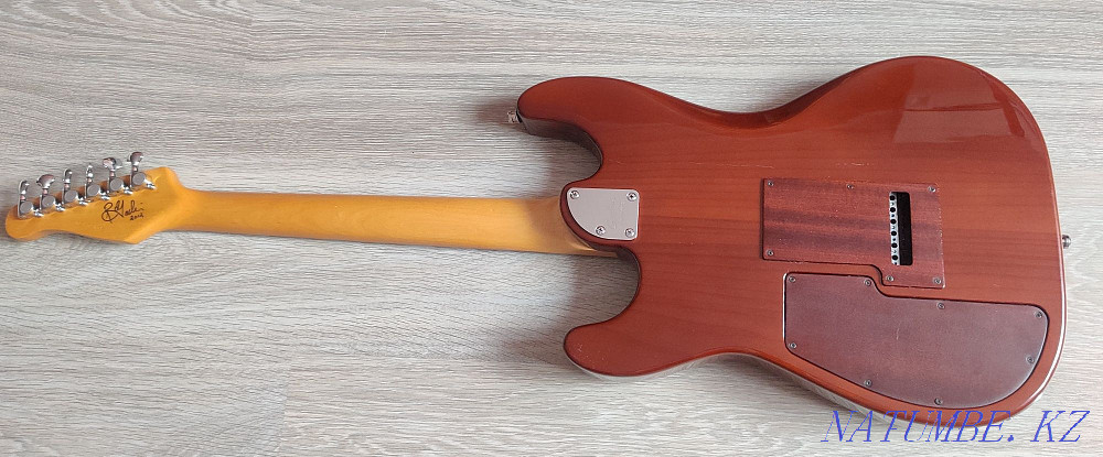 Godin RG-3 Passion Series  - photo 3