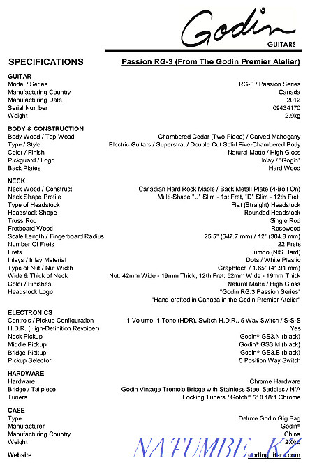 Godin RG-3 Passion Series  - photo 6