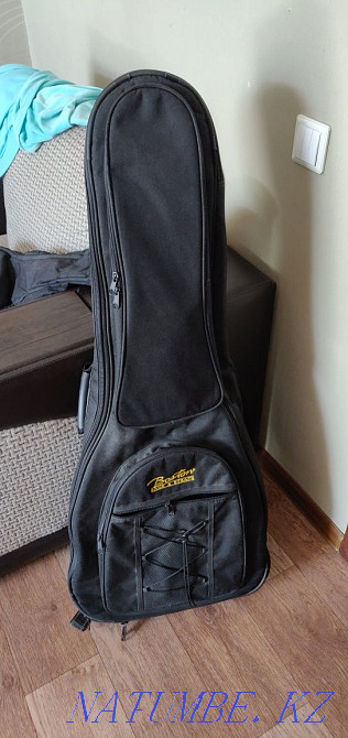 Продам электрогитару Aria pro 2 ts-300 с комплектующими Караганда - изображение 4