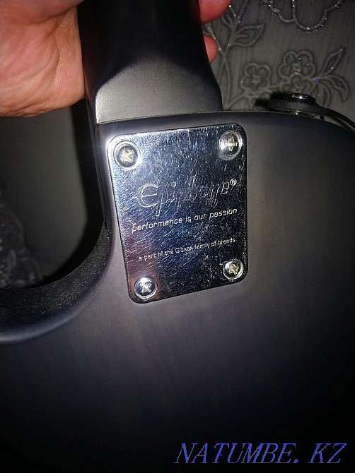 Epiphone Special Limited edition electric guitar Petropavlovsk - photo 5