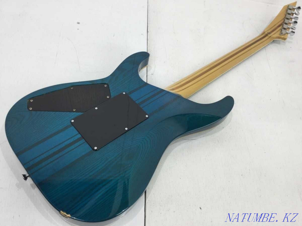 Edwards krv Custom